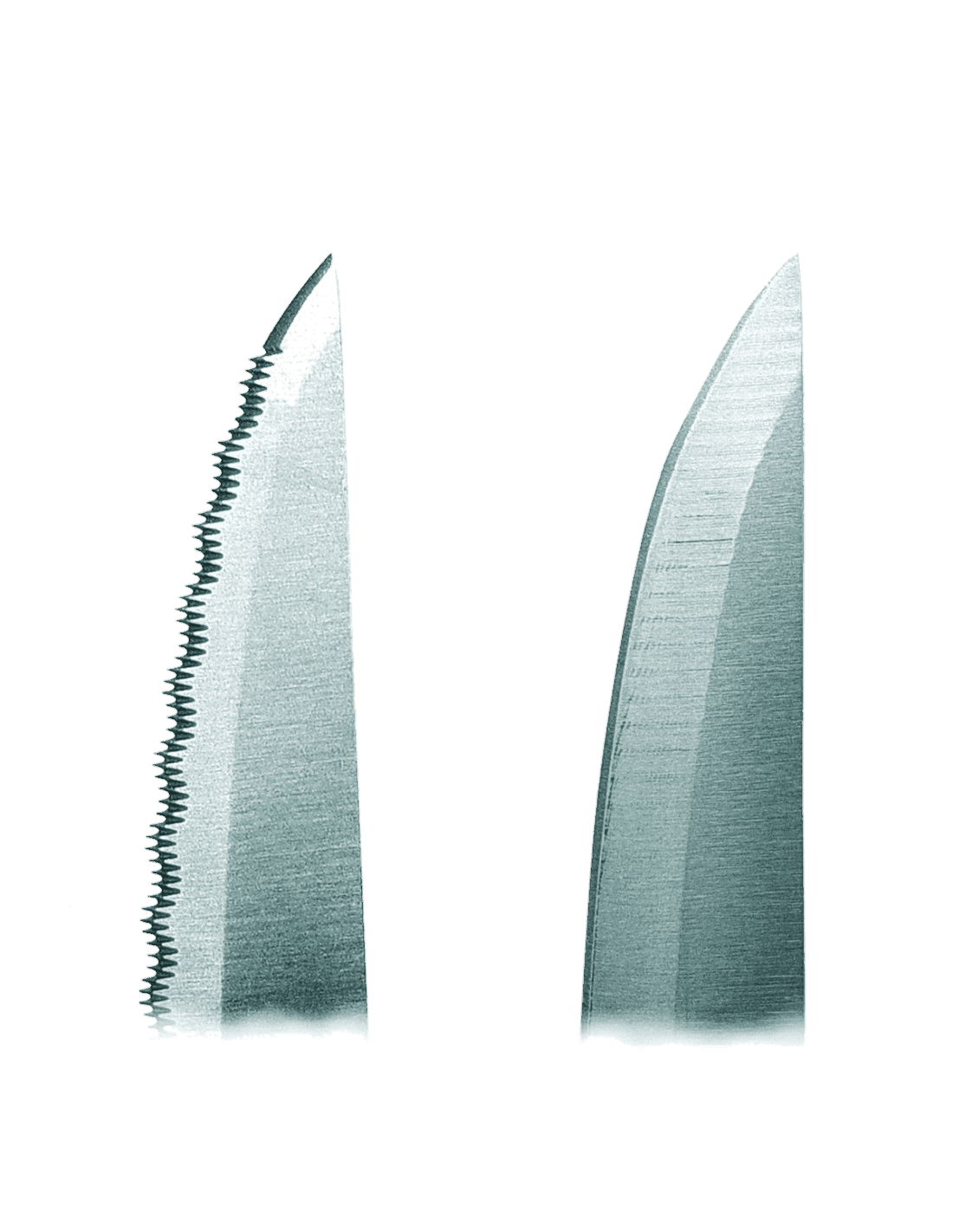 Set 6 cuchillos chuleteros micro dentados de Lacor