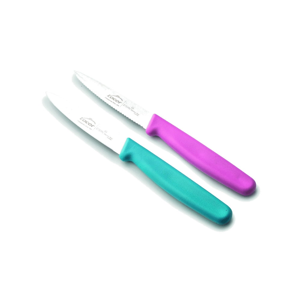 Set de cuchillos puntilla liso+dentado etern de Lacor