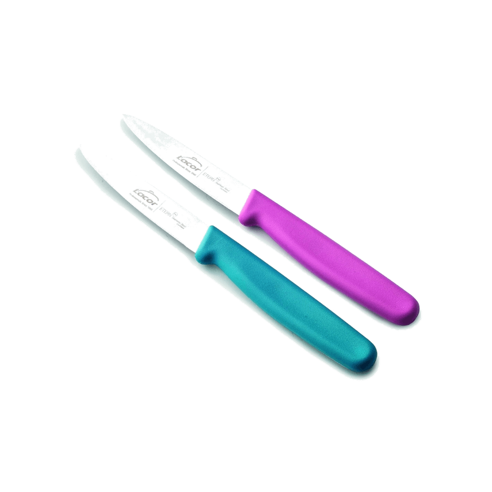 Set de cuchillos puntilla lisos etern de Lacor